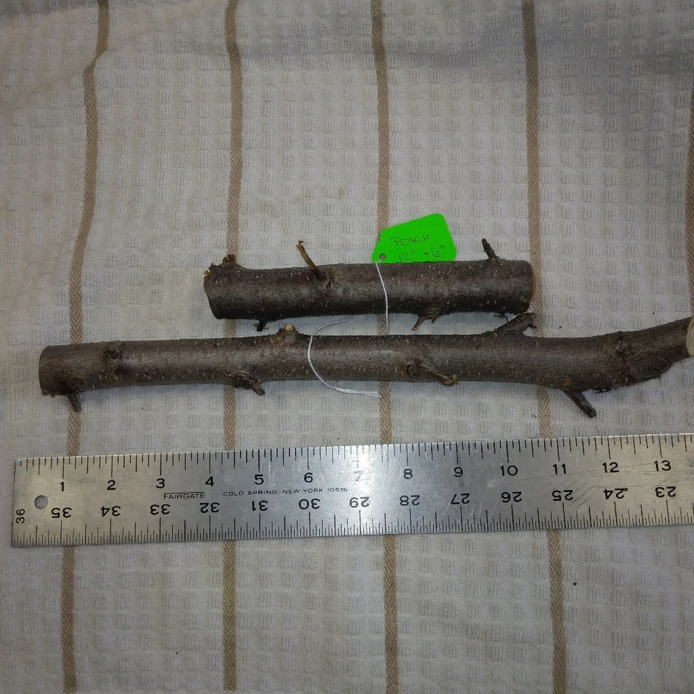 Natural Peach Tree pack lawn branch